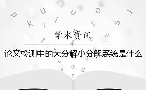 论文检测中的大分解小分解系统是什么？