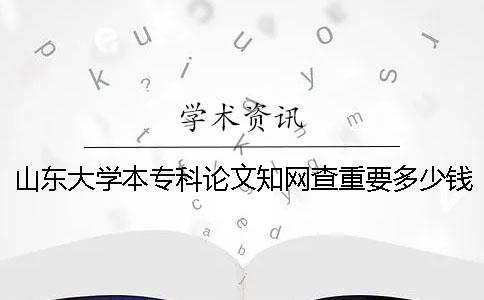 山东大学本专科论文学术查重要多少钱一次查重