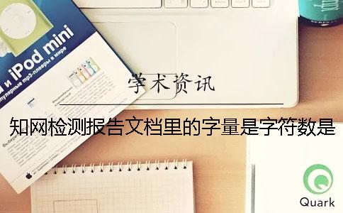 学术检测报告文档里的字量是字符数是字量