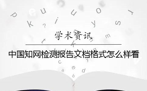 中国知网检测报告文档格式怎么样看