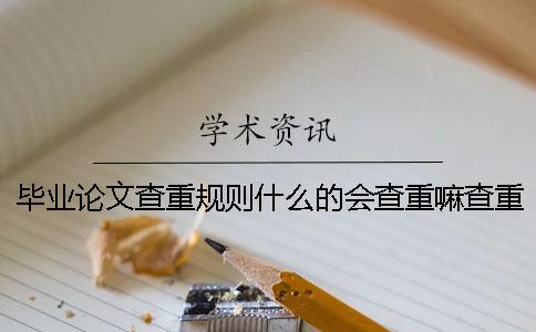 毕业论文查重规则什么的会查重嘛查重规则有哪些